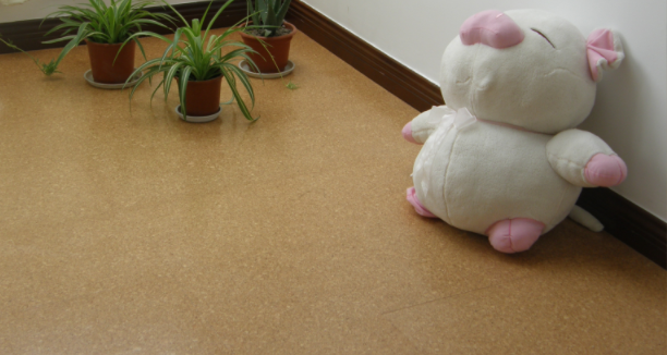 軟木地板的優(yōu)勢(shì)是什么，中林帶你了解一下！